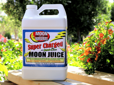 Moon juice plant food at Moon Valley Nurseries