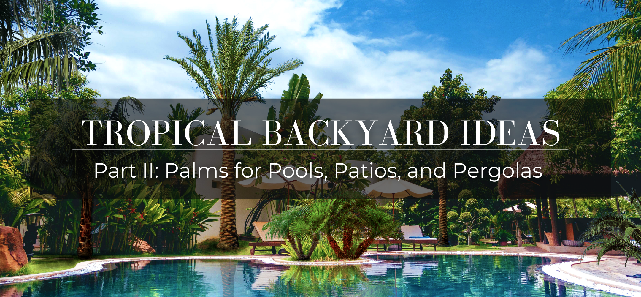 Tropical Backyard Ideas Part 2 Palms For Pools