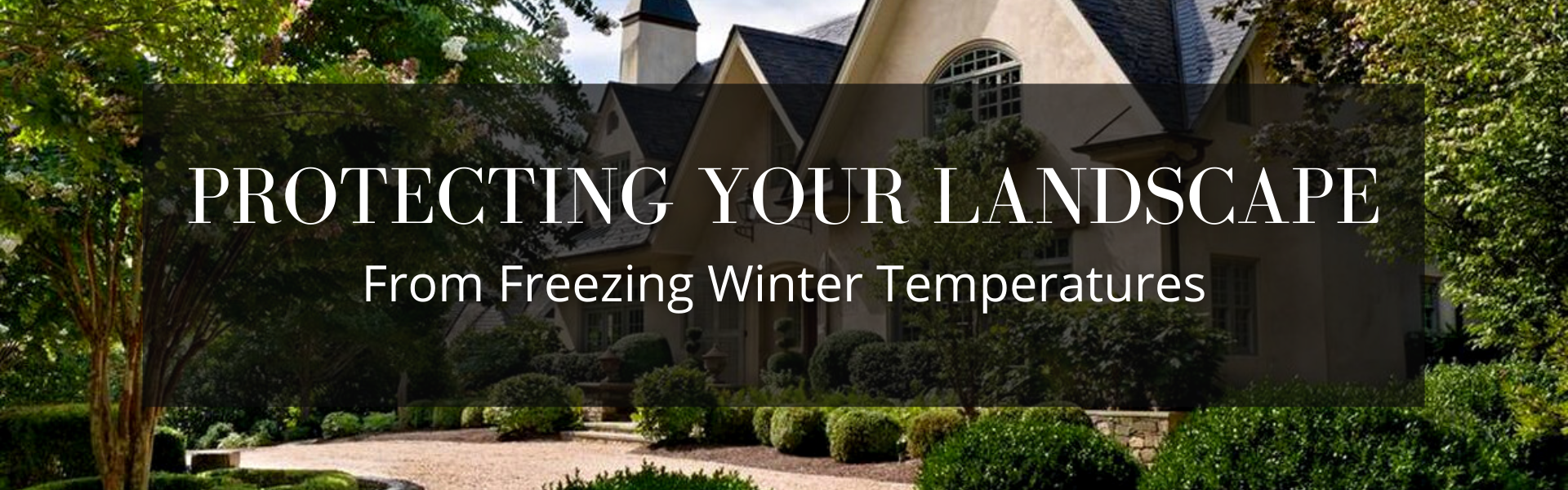 Protecting your landscape from freezing Winter Temperatures