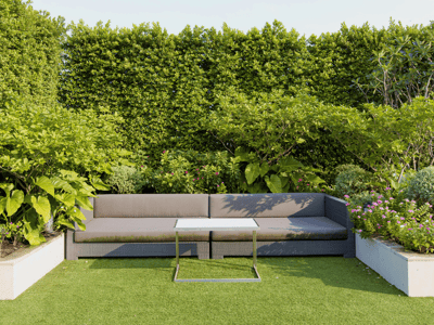 privacy hedges in backyard patio area