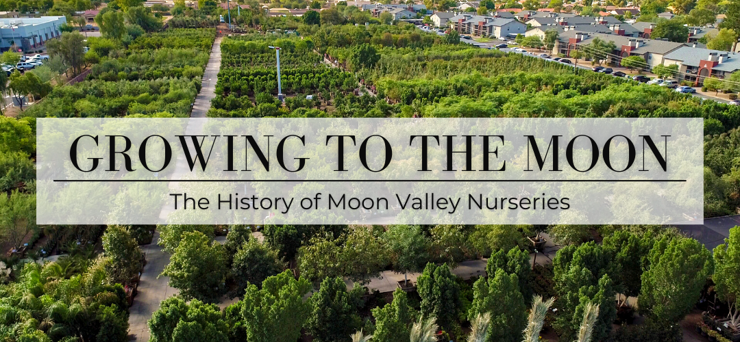 Moon valley nurseries newark