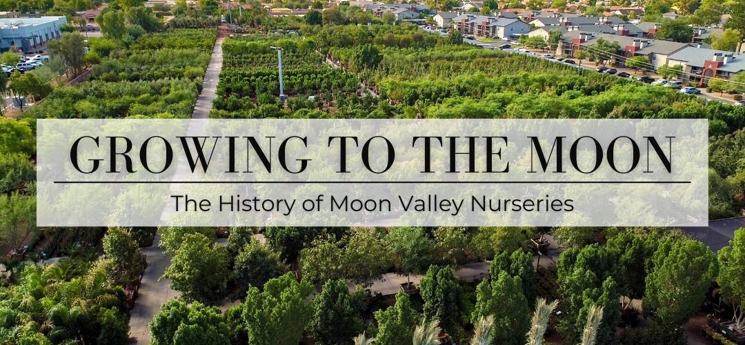 Growing to the Moon: The History of Moon Valley Nurseries