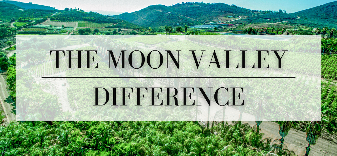 The Moon Valley Difference
