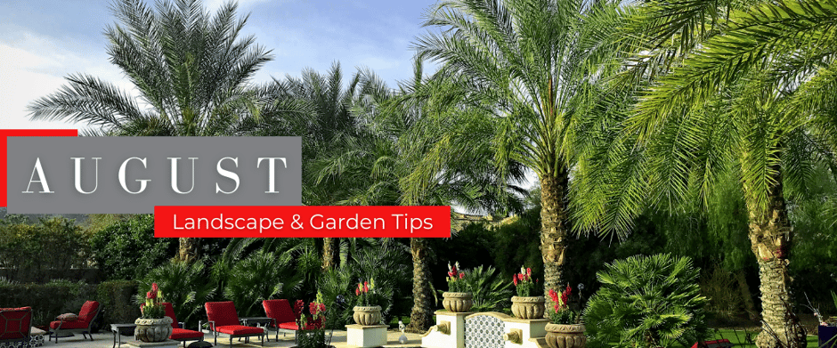 August Landscape & garden tips header