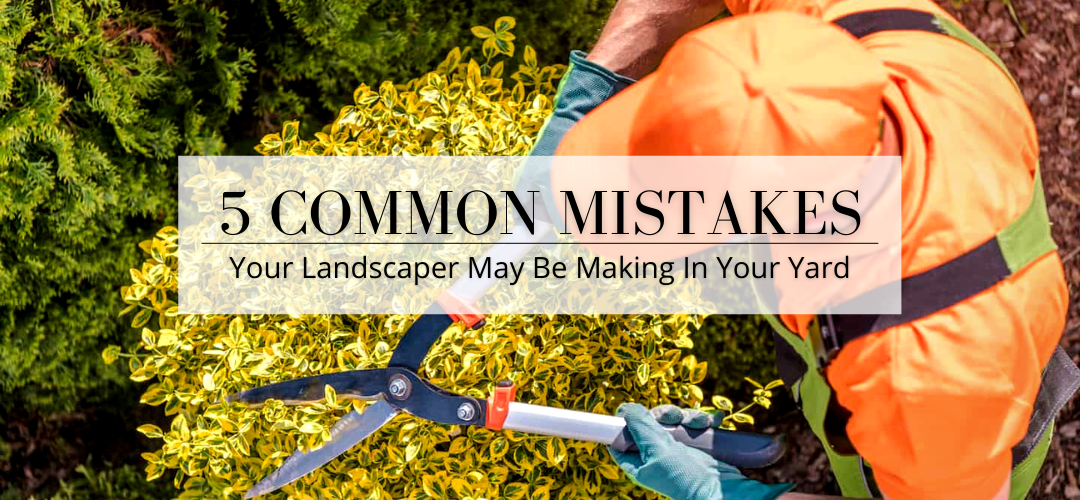 landscaper mistakes header