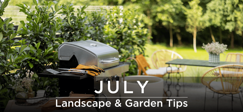 July landscape and garden tips header
