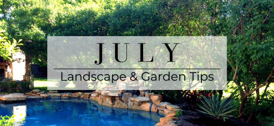 July landscape and garden tips header