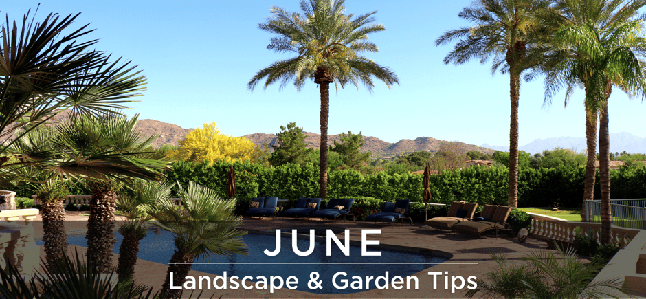 June landscape and garden tips header