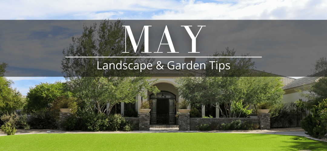 May Landscape & Garden Tips
