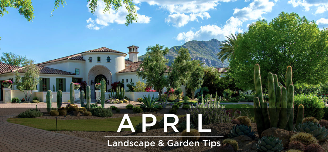 April Landscape & Garden Tips header