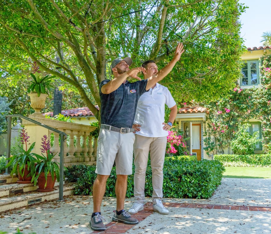 10 Landscaping Tips To Add Curb Appeal & Value To Your Home