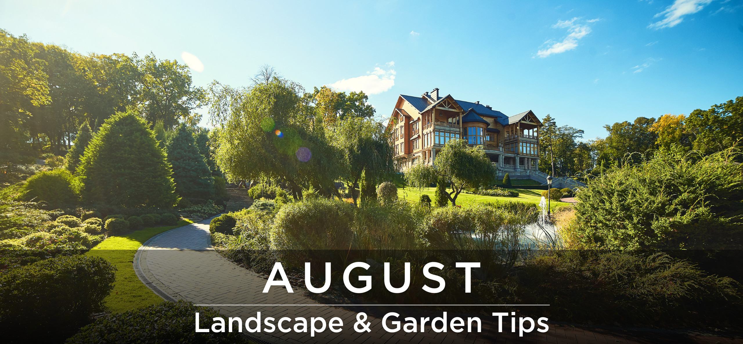 August Landscape & garden tips header