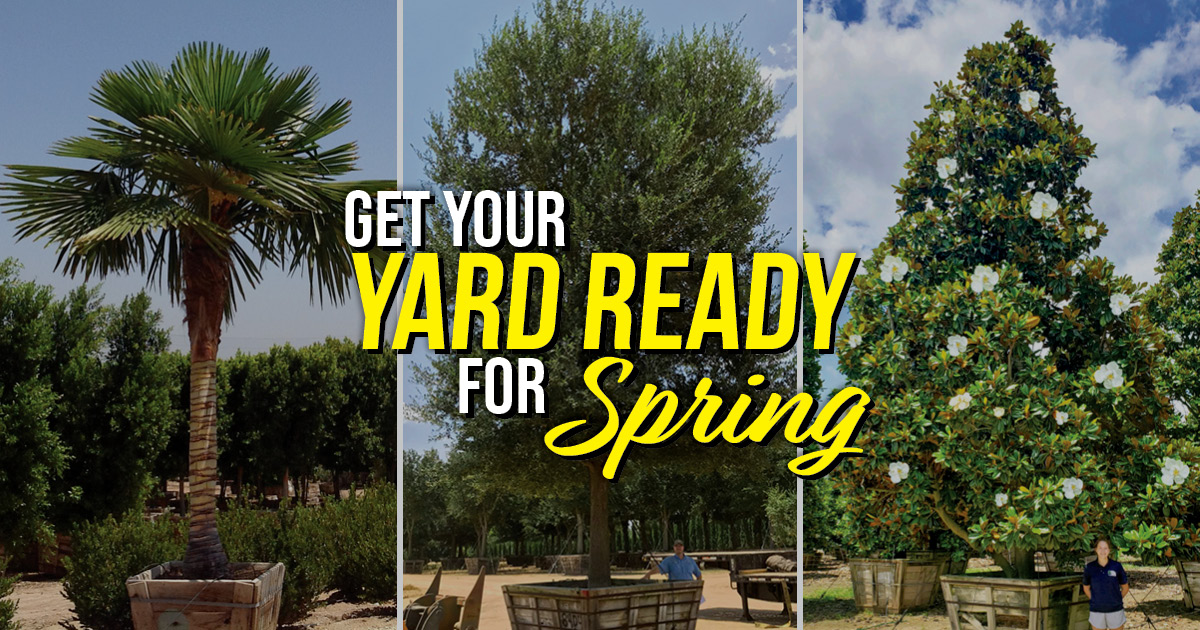 1200x630 TX Get Your Yard Ready for Spring