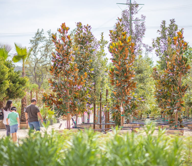 10 Landscaping Tips To Add Curb Appeal & Value To Your Home