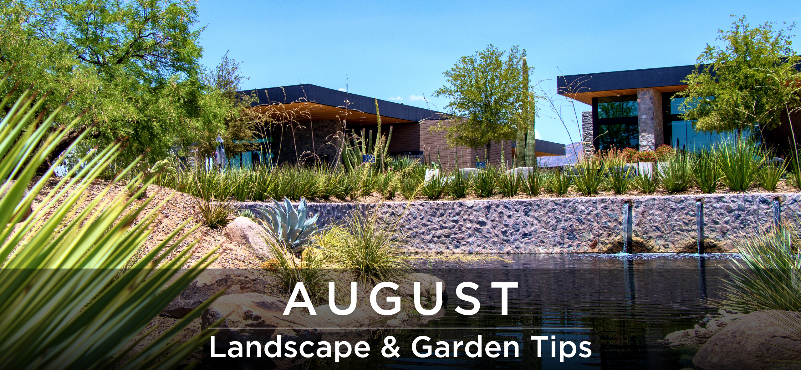 August Landscape & garden tips header