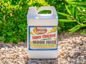 Super Charged Moon Juice™ Bottle.
