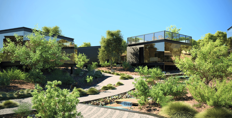 Modern landscape design with drought-resistant landscaping