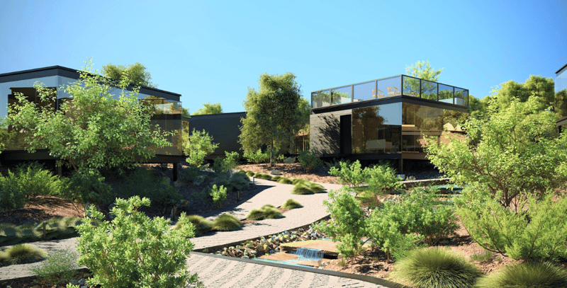 Modern landscape design with drought-resistant landscaping