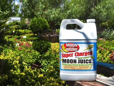 Supercharged moon juice
