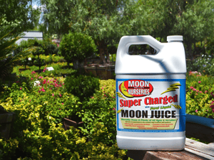 Super charged Moon Juice™ plant food at Moon Valley Nurseries