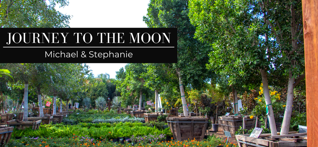Journey to the Moon: Michael & Stephanie 