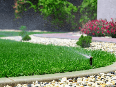 how to water a winter lawn