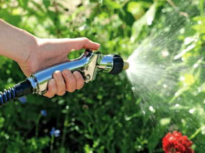 water your trees and plants appropriately for spring