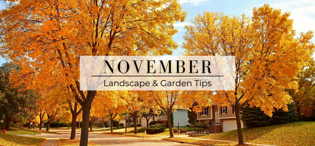 November landscape and garden tips header