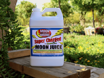 Super Charged Moon Juice™ at Moon Valley Nurseries
