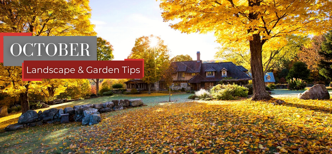 October landscape and garden tips header