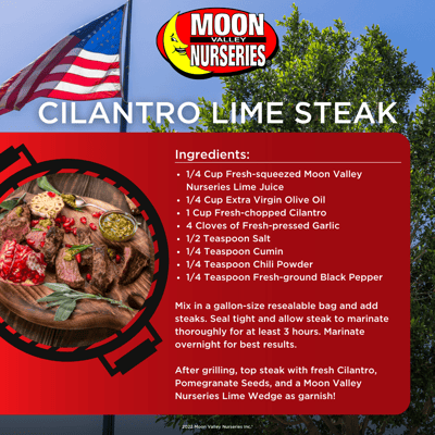 Cilantro Lime Steak Recipe Card