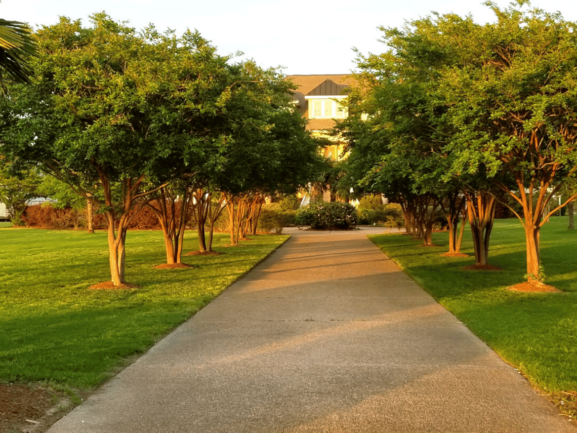 UTILIZING GROUPS OF TREES IN YOUR LANDSCAPE STYLE