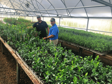 Moon Valley Nurseries greenhouse at farm