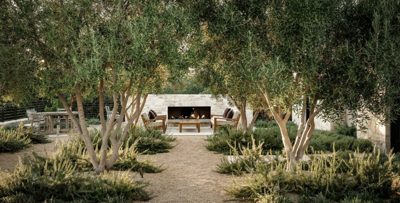 backyard living room with olive trees