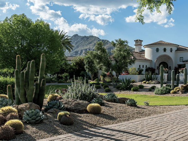 Natural Southwest Landscape Design 