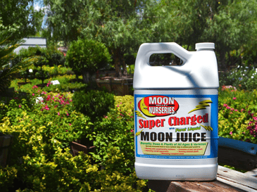 Super Charged Moon Juice™