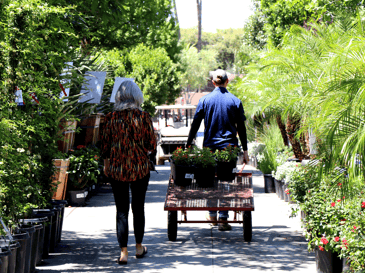 nursery pro helping homeowner with cart of shrubs