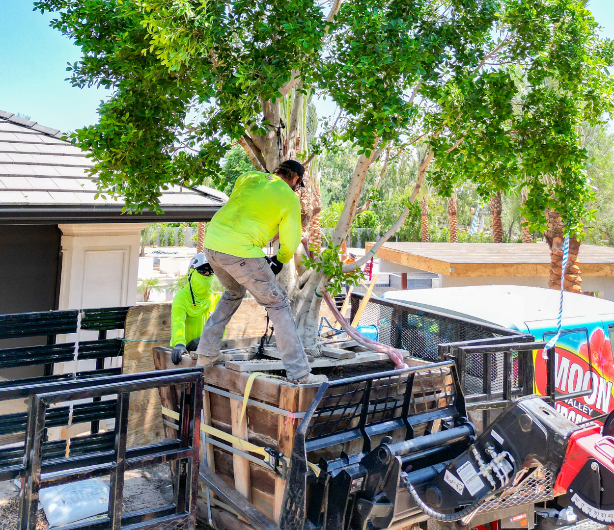 professional planting team from moon valley nurseries