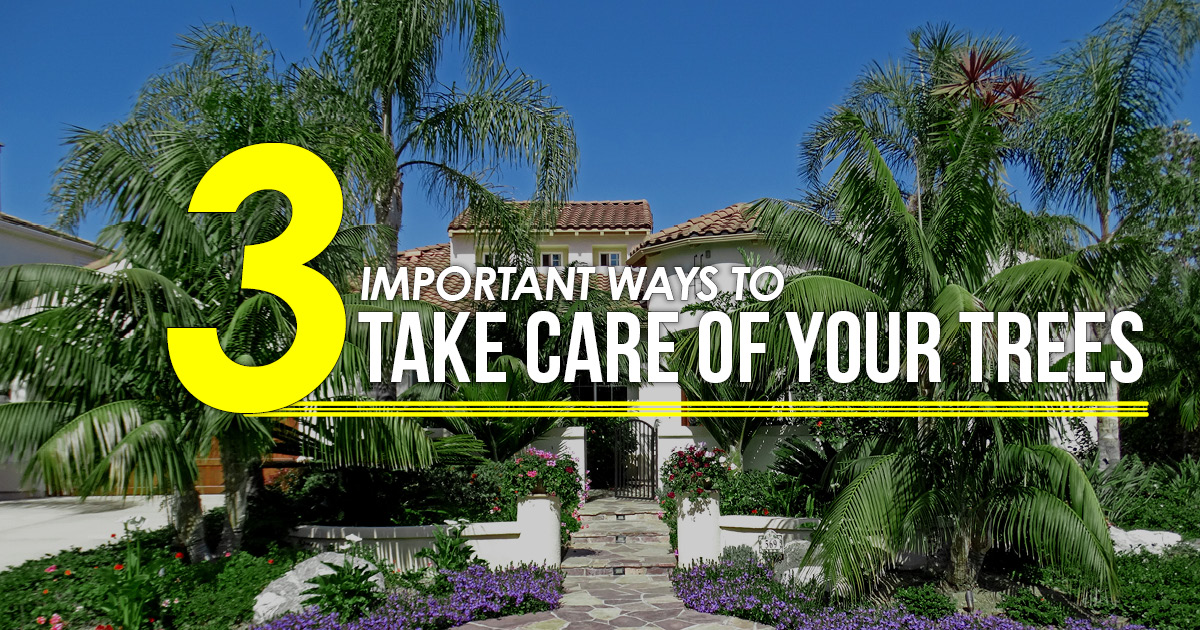 3 ways to take care of trees CA