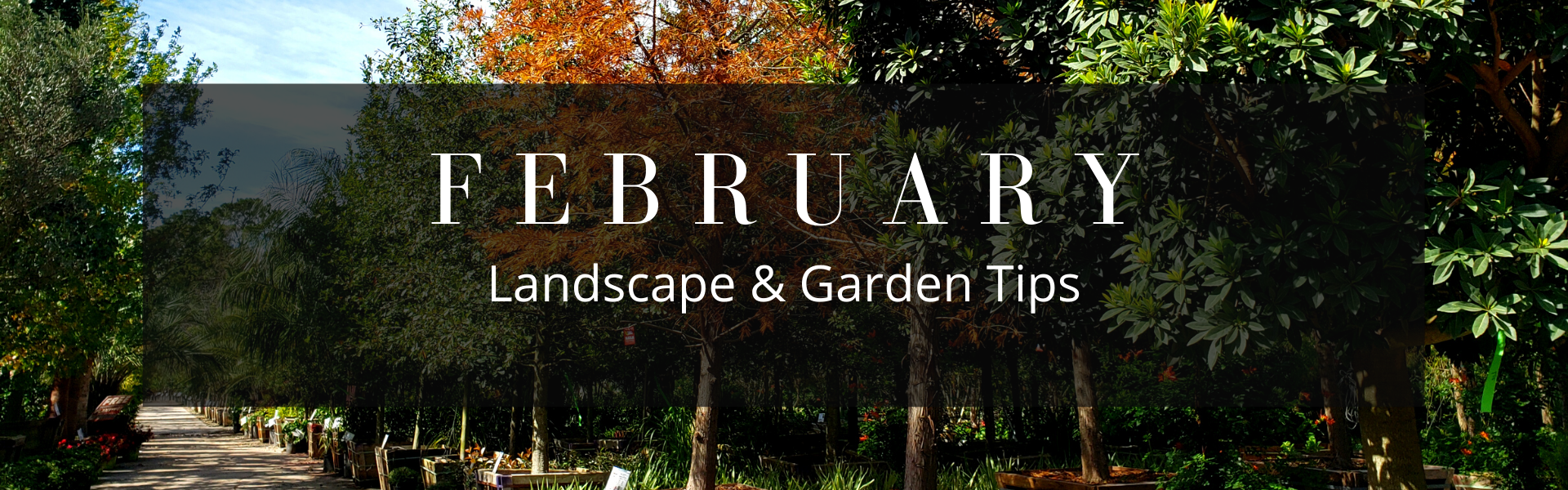 February Landscape and Garden Tips