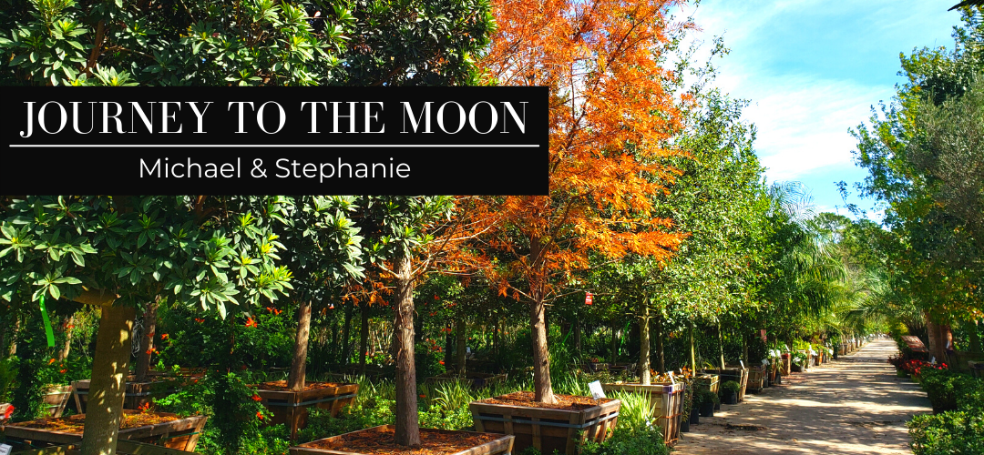 Journey to the Moon: Michael and Stephanie