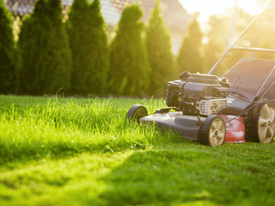 how to mow winter grass