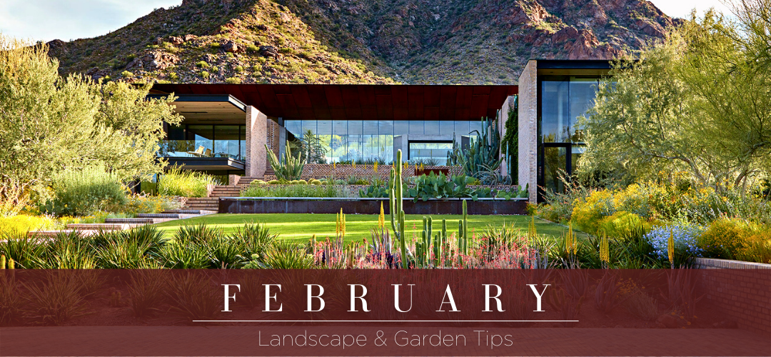 February 2022 landscape & garden tips header