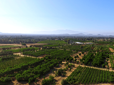 Moon Valley Nurseries Grow Yard