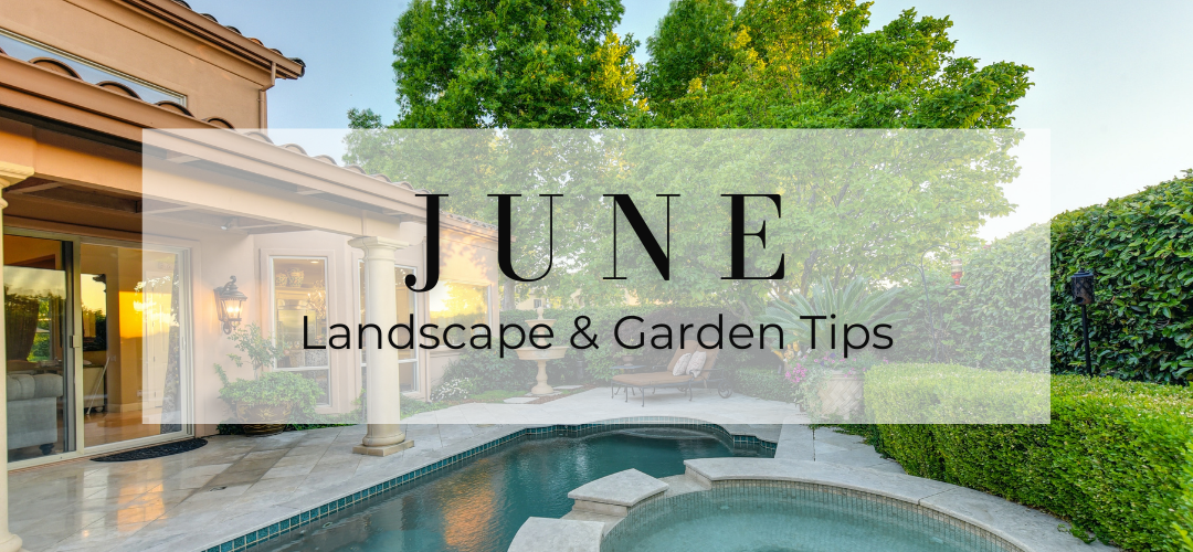 June landscape and garden tips header