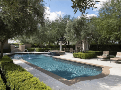 Olive trees around pool