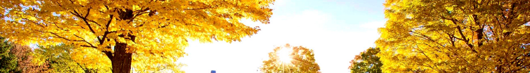 Fall header 1