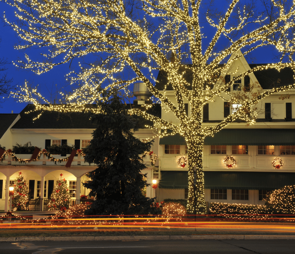 Protect Your Trees & Yard with Smart Holiday Lighting