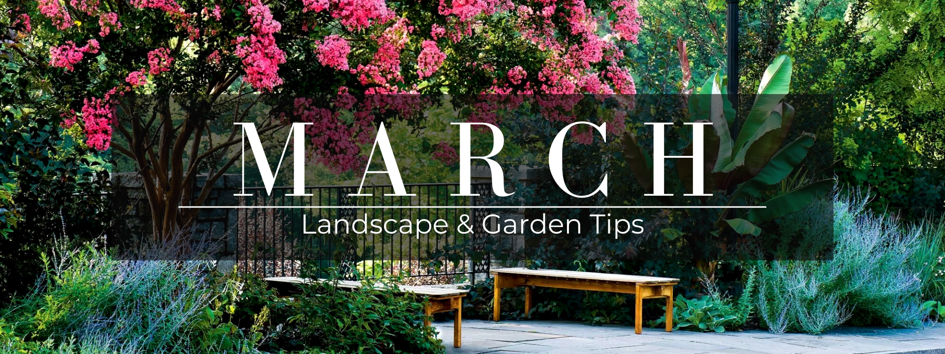 March landscape and garden tips