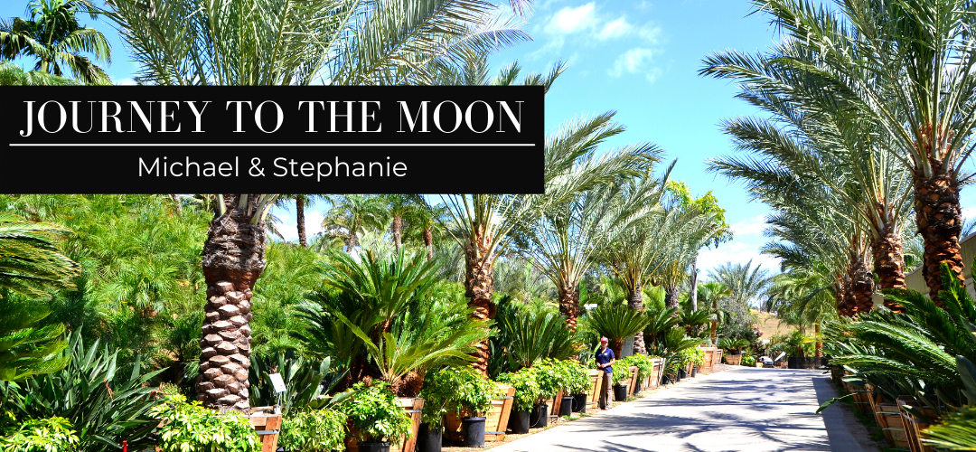 Journey to the Moon: Michael and Stephanie